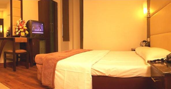 FabHotel Ashu Palace Delhi  Habitación foto